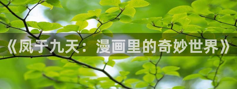 豪门天价前妻漫画免费土豪漫画