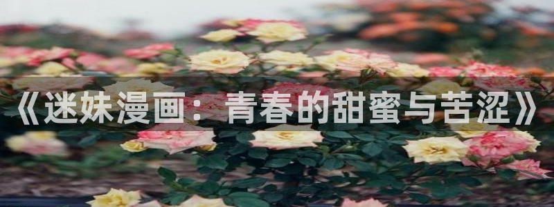 土豪漫画官网